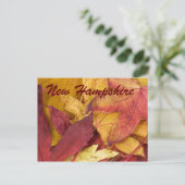 Neue Hampshire Herbst Blätter Postkarte (Stehend Vorderseite)