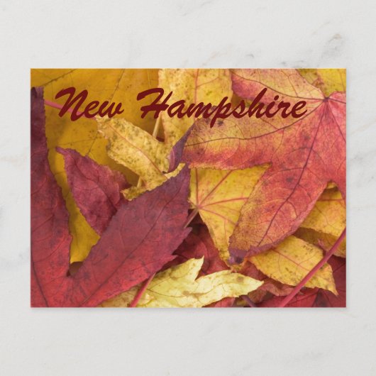 Neue Hampshire Herbst Blätter Postkarte (Vorderseite)