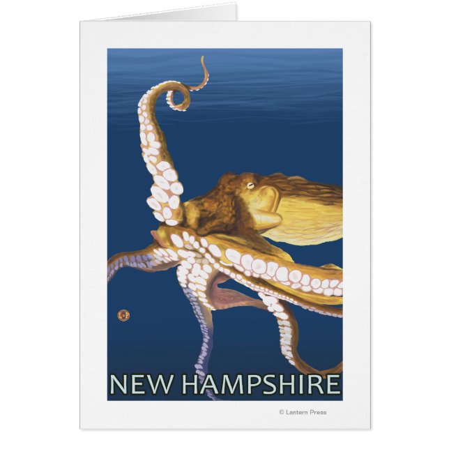 Neue HampshireOctopus-Szene (Vorne)
