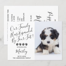 Neue Haustier-Hund-Welpendusche