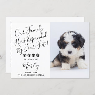 Neue Haustier-Hund-Welpendusche Einladung