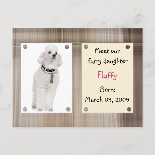 Neue Haustiere des Treffens Ankündigungspostkarte (Vorderseite)