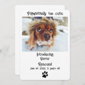 Neue Hundekarte für Haustiere (Vorne/Hinten)