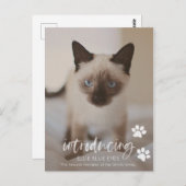 Neue Kätzchen- oder Katzen-Ankündigungskarte Postkarte (Vorne/Hinten)