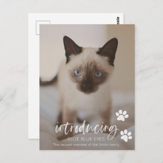 Neue Kätzchen- oder Katzen-Ankündigungskarte Postkarte (Vorne/Hinten)