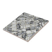 Neue Keramik-Tile für Muster aus Marble Fliese (Seite)