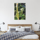 Neue Kiefernknospen Leinwanddruck (Insitu (Schlafzimmer))