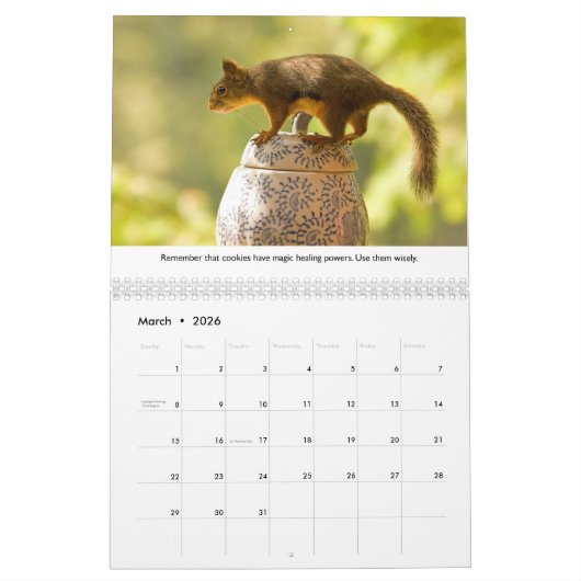Neue Lebensläufe Funny Squirrel Kalender (Mär 2026)