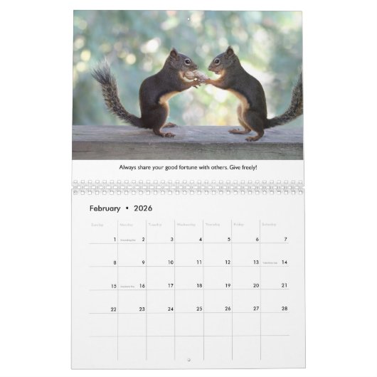 Neue Lebensläufe Funny Squirrel Kalender (Feb 2026)