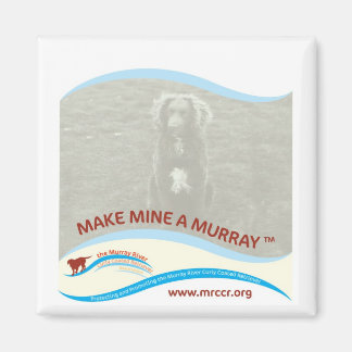 Neue Marke zu Murray Magneten Magnet