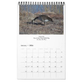 Neue Monumente und Schutzgebiete in Mexiko Kalender (Jan 2026)