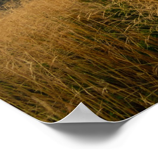 Neue Orte erkunden Poster (Ecke)