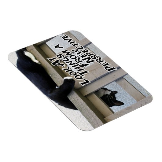 Neue Perspektive Magnet (Rechte Seite)