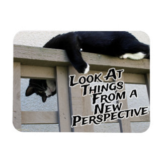 Neue Perspektive Magnet