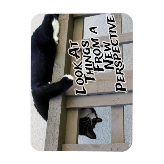 Neue Perspektive Magnet (Vertikal)