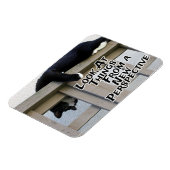 Neue Perspektive Magnet (Linke Seite)