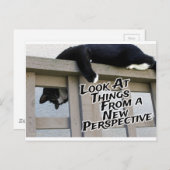 Neue Perspektive Postkarte (Vorne/Hinten)