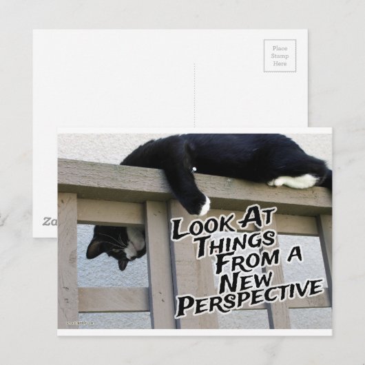Neue Perspektive Postkarte (Vorne/Hinten)