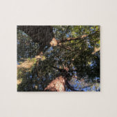 Neue Perspektive Puzzle (Horizontal)