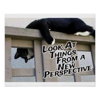 Neue Perspektive zur Motivierung von Cat Foto Art Poster