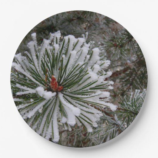 Neue Pine Cones Pappteller (Vorderseite)