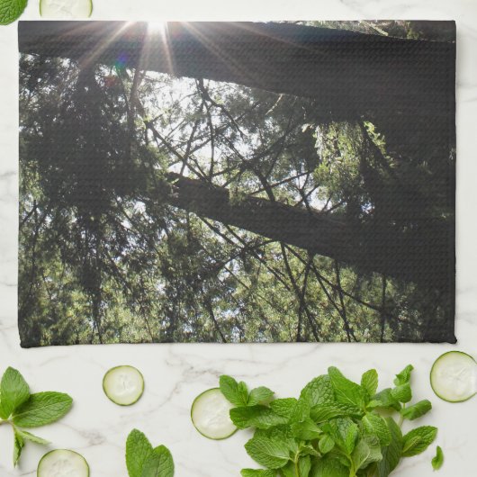 Neue Produkte Handtuch (Gefaltet)