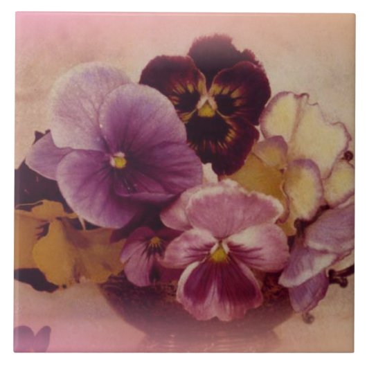 NEUE PUNKTSTRECKE/TITEL FLIESE (Vorderseite)