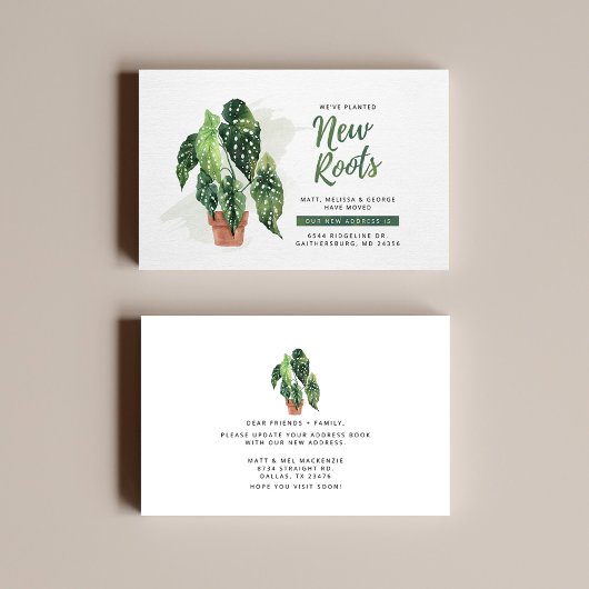 Neue Roots-Änderung der Ankündigung zur Adressumse