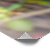 neue rote Knospen Poster (Ecke)