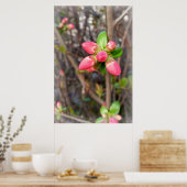 neue rote Knospen Poster (Küche)