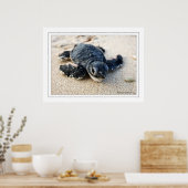 Neue Schildkröte Poster (Küche)