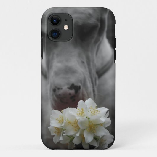 Neue Smartphonetasche Case-Mate iPhone Hülle (Rückseite)