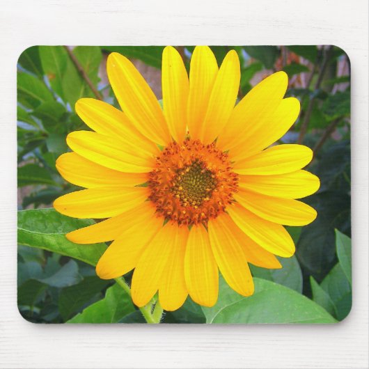 Neue Sonnenblume Mousepad (Vorne)