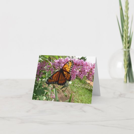 Neue Tagesgärten Notecard - Viceroy Butterfly Karte (Vorderseite)