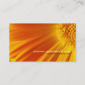 Neue Überraschung 2 Visitenkarte (Rückseite)