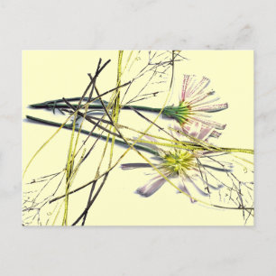 NEUE VINTAGE-DESIGNS POSTKARTE