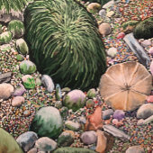 Neue Vogelsammlung Schneidebrett