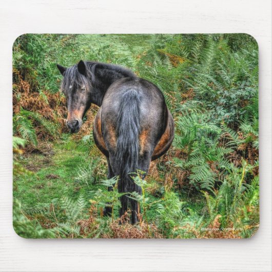 Neue Waldpony & Bracken für Pferdefreunde Mousepad (Vorne)
