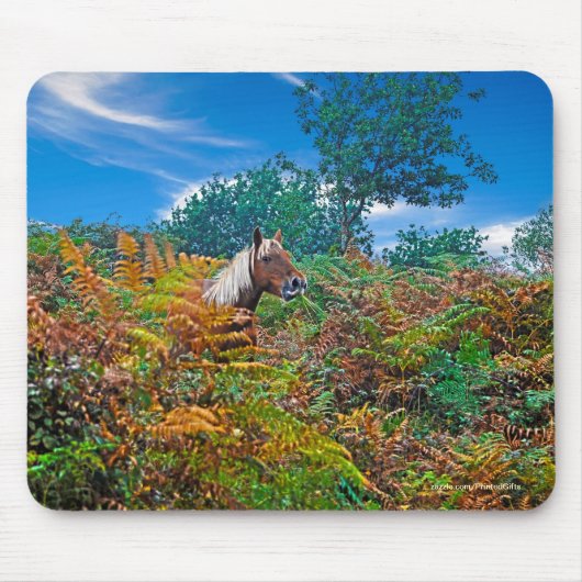 Neue Waldpony & Bracken für Pferdefreunde Mousepad (Vorne)