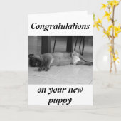 Neue Welpe Karte (Gelbe Blume)