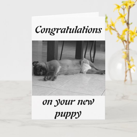 Neue Welpe Karte (Gelbe Blume)