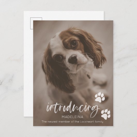 Neue Welpen- oder Hundeankündigung, Adoption für H Postkarte (Vorne/Hinten)