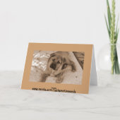 Neue Welpenankündigung Ankündigung (Rückseite)