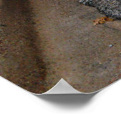 Neue White Corvette Car Ghost Racing Streifen Poster (Ecke)