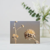 Neue Winter-Blüten in Mexiko Postkarte (Stehend Vorderseite)