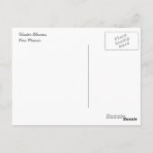 Neue Winter-Blüten in Mexiko Postkarte (Rückseite)