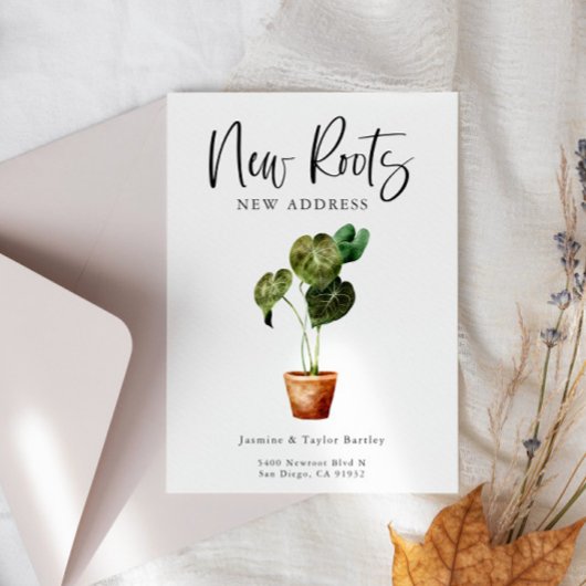 Neue Wurzeln Neue Adressbearbeitung Ankündigung