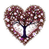 neue York Golf Headcover