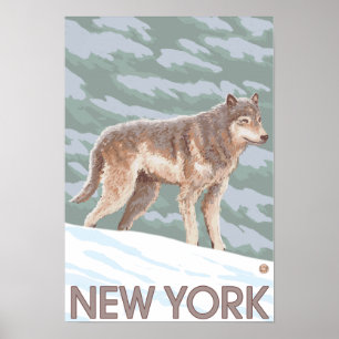 Neue YorkWolf Szene Poster