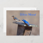 Neue Zuhause-Ankündigung Ankündigungspostkarte (Vorne/Hinten)